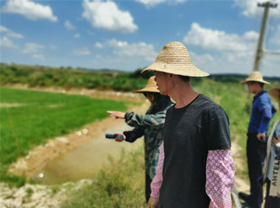  澄邁淡水小龍蝦養殖基地